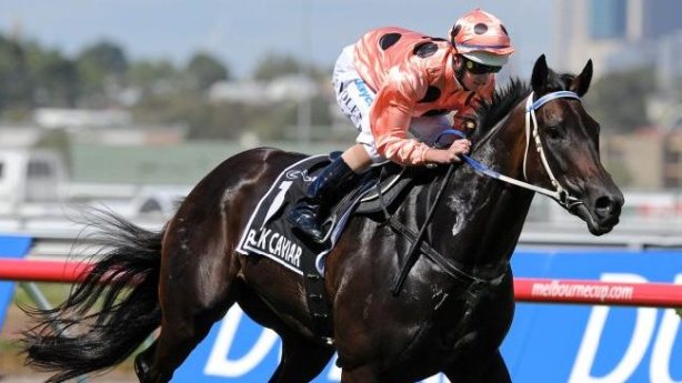 Black Caviar won 25 consecutive races before she was retired from racing last month